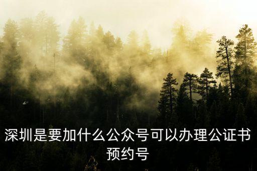 深圳身份證預約網上預約公眾號，深圳是要加什么公眾號可以辦理公證書預約號