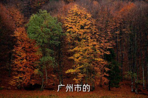 廣州市的