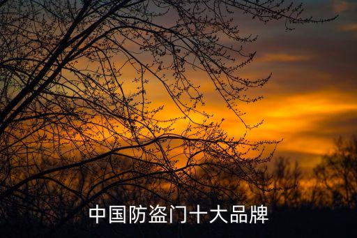 中國防盜門十大品牌