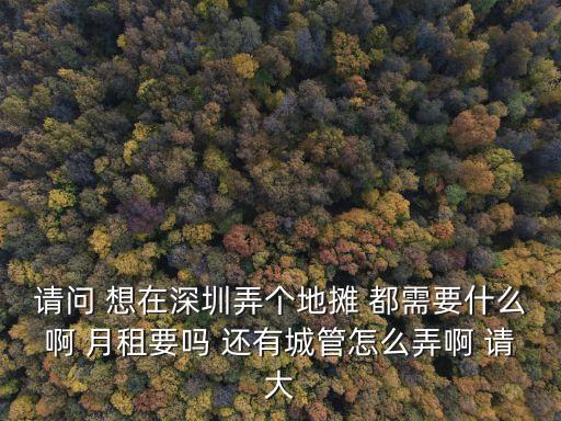 請問 想在深圳弄個地攤 都需要什么啊 月租要嗎 還有城管怎么弄啊 請大