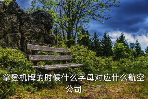 深圳航空登機牌什么樣子，登機牌上為何看不到是哪家航空公司的名字
