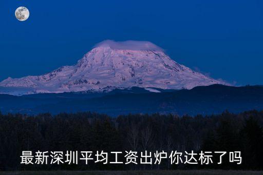 最新深圳平均工資出爐你達標了嗎