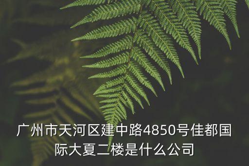 廣州市天河區建中路4850號佳都國際大夏二樓是什么公司