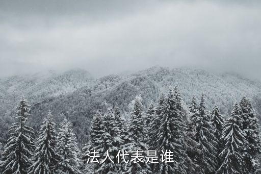 法人代表是誰