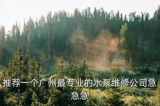 推薦一個廣州最專業的水泵維修公司急急急