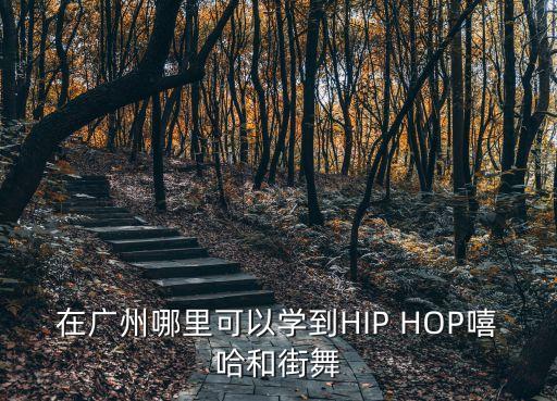 廣州市rap培訓班，廣州哪里有比較好的成人唱歌培訓 或者說唱k培訓班