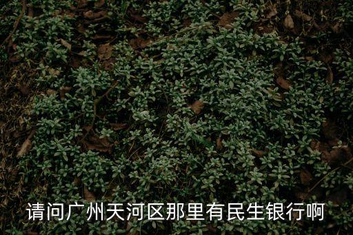 廣州天河民生，廣州天河區體育西路有沒有民生銀行營業廳