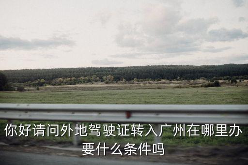 你好請問外地駕駛證轉入廣州在哪里辦要什么條件嗎