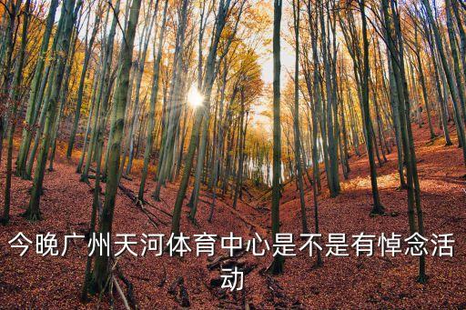 今晚廣州天河體育中心是不是有悼念活動(dòng)