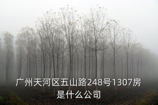 廣州天河區(qū)五山路248號1307房是什么公司