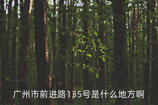 廣州市前進路135號是什么地方啊
