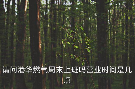 廣州燃氣公司 營業時間，廣州市番禺煤氣公司南村客戶中心的營業時間是什么
