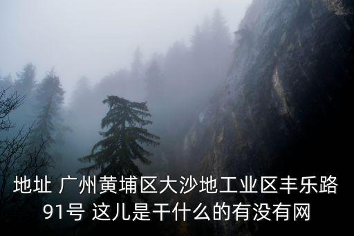 地址 廣州黃埔區大沙地工業區豐樂路91號 這兒是干什么的有沒有網