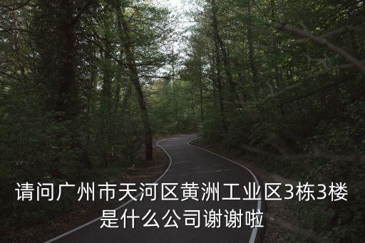 廣州賽銳化工，請問廣州市天河區黃洲工業區3棟3樓是什么公司謝謝啦