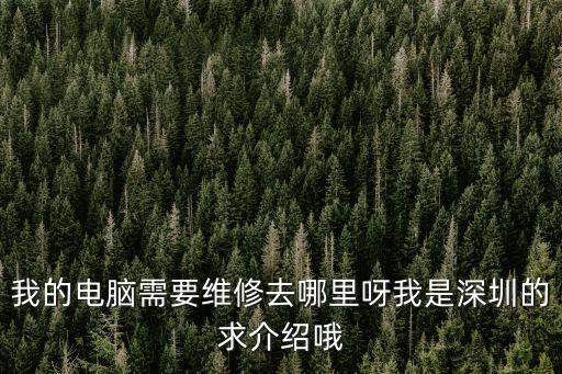 我的電腦需要維修去哪里呀我是深圳的求介紹哦