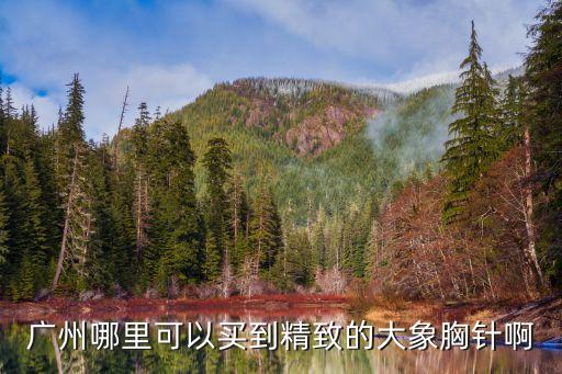 廣州飾品胸針，廣州哪里可以買到精致的大象胸針啊