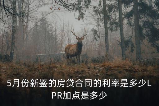 5月份新鑒的房貸合同的利率是多少LPR加點是多少