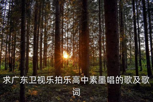 求廣東衛(wèi)視樂拍樂高中素墨唱的歌及歌詞