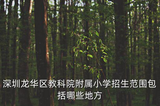 深圳龍華教育學(xué)院附屬小學(xué)，深圳龍華區(qū)教科院附屬小學(xué)招生范圍包括哪些地方
