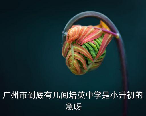 廣州市到底有幾間培英中學是小升初的 急呀
