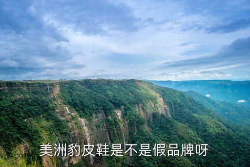 美洲豹皮鞋是不是假品牌呀