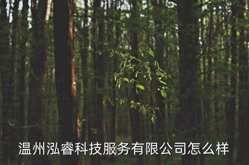 溫州泓睿科技服務有限公司怎么樣