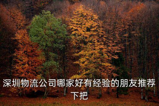 深圳物流公司哪家好有經驗的朋友推薦下把
