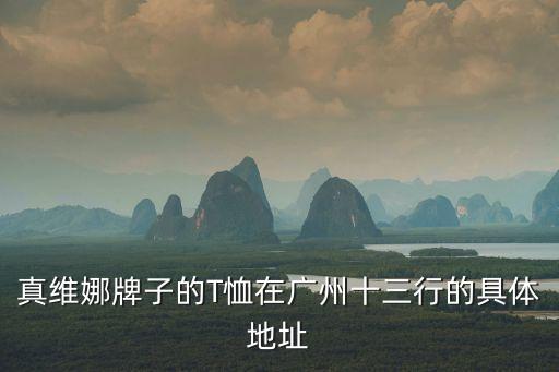 廣州十三行一樓，真維娜牌子的T恤在廣州十三行的具體地址