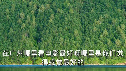 在廣州哪里看電影最好呀哪里是你們覺得感覺最好的