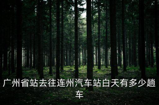廣州省站去往連州汽車站白天有多少趟車