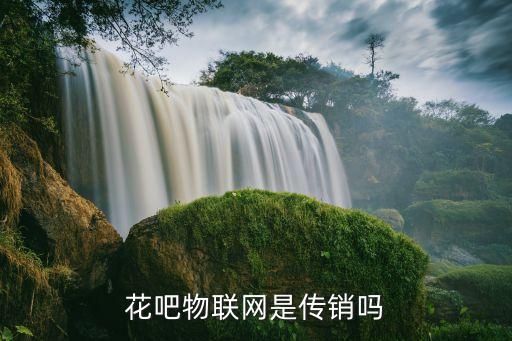 廣州花吧物聯(lián)網(wǎng)有限公司，廣州市天河區(qū)建中路4850號(hào)佳都國(guó)際大夏二樓是什么公司