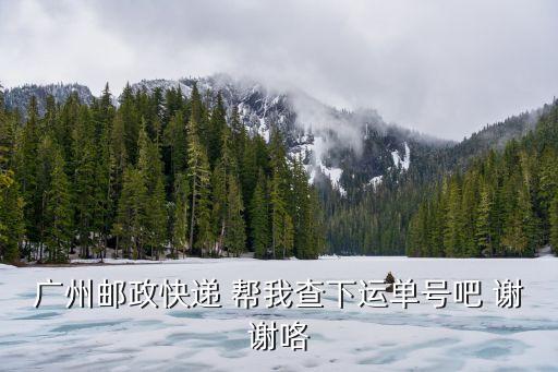 廣州發來的郵政單號，廣州郵政快遞 幫我查下運單號吧 謝謝咯