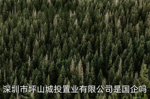深圳市坪山城投置業(yè)有限公司是國(guó)企嗎