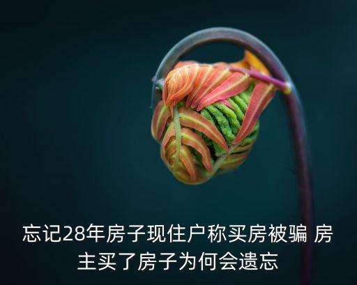 男子5年前深圳買房 忘記，我四年多前貸款買的房子房照忘記辦了現在快到五年了聯系賣