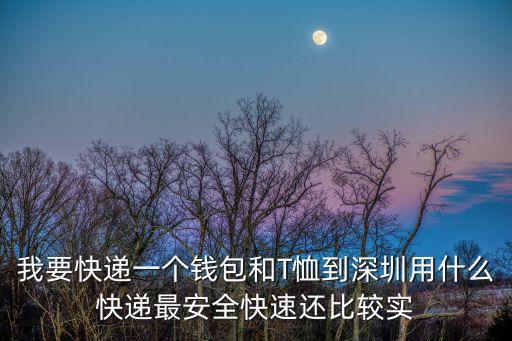 我要快遞一個錢包和T恤到深圳用什么快遞最安全快速還比較實