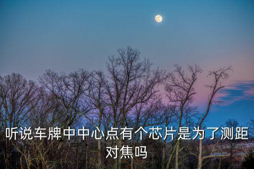 聽說車牌中中心點有個芯片是為了測距對焦嗎