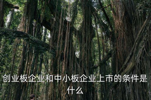 深圳證券交易所創(chuàng)業(yè)板上市條件，創(chuàng)業(yè)板上市條件