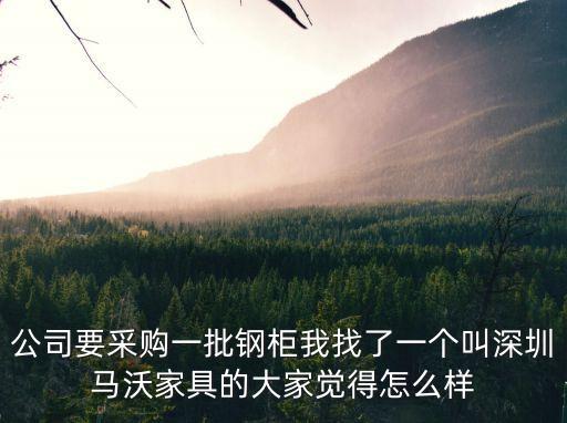 深圳市壹源利實業有限公司，公司要采購一批鋼柜我找了一個叫深圳馬沃家具的大家覺得怎么樣