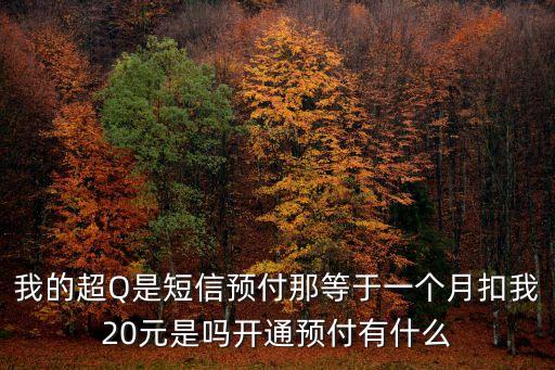 我的超Q是短信預(yù)付那等于一個(gè)月扣我20元是嗎開通預(yù)付有什么