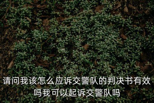 請問我該怎么應訴交警隊的判決書有效嗎我可以起訴交警隊嗎