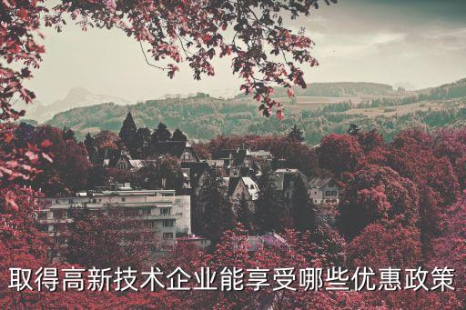 取得高新技術(shù)企業(yè)能享受哪些優(yōu)惠政策