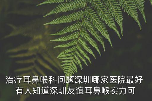 治療耳鼻喉科問題深圳哪家醫院最好 有人知道深圳友誼耳鼻喉實力可
