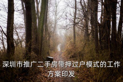 深圳規劃與自然資源局黃德福，對于地鐵站命名華為深圳是如何回應的