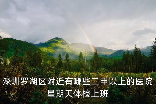 深圳羅湖區附近有哪些二甲以上的醫院星期天體檢上班