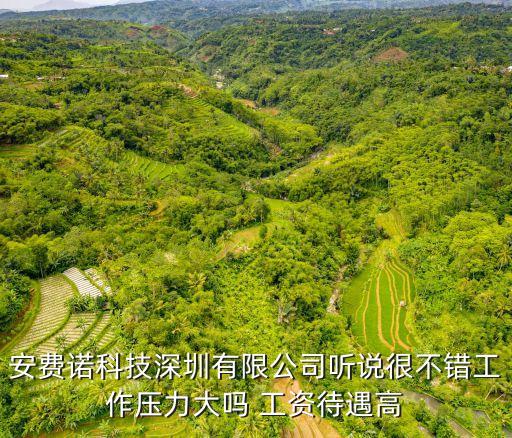 安費諾科技深圳有限公司聽說很不錯工作壓力大嗎 工資待遇高
