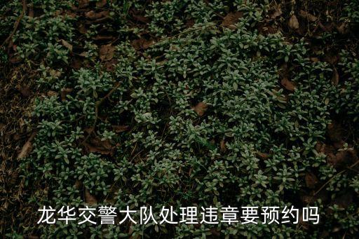 龍華交警大隊處理違章要預約嗎