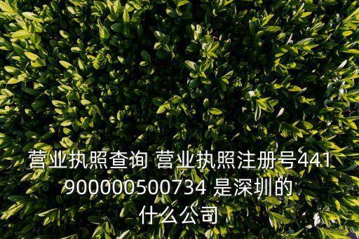營業執照查詢 營業執照注冊號441900000500734 是深圳的什么公司