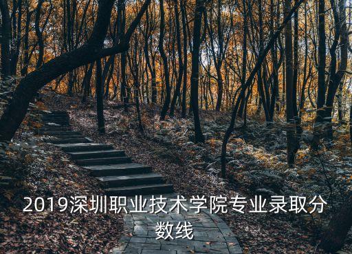 2019深圳職業(yè)技術(shù)學(xué)院專業(yè)錄取分?jǐn)?shù)線