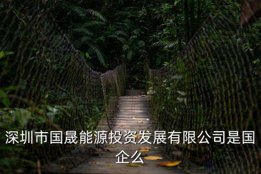 深圳市國勝投資有限公司，深圳市國晟能源投資發展有限公司是國企么