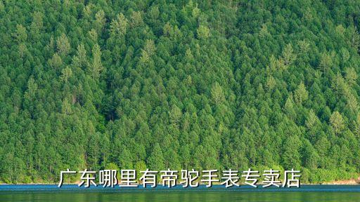 帝駝 深圳，深圳帝駝手表專賣店在那里